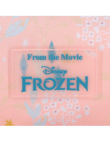 4212441 MOCHILA 40CM.2C.FROZEN BELIEVE IN THE JOURNEY