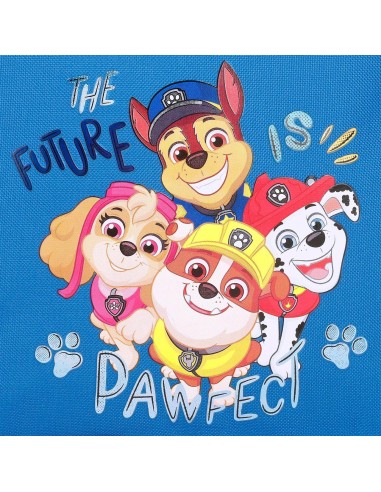 4514341 NECESER 3C. PAW PATROL THE PLAYFUL OUTDOORS