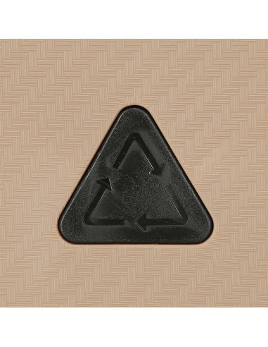 5189224 TROLLEY PP 66CM.4R.MOVOM DIMENSION CHAMPAGNE