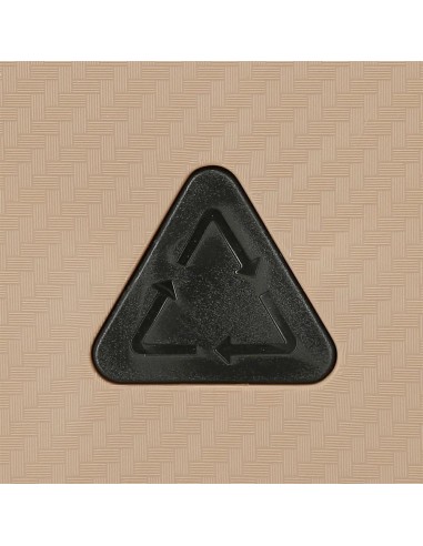 5189124 TROLLEY PP 55CM.4R.MOVOM DIMENSION CHAMPAGNE