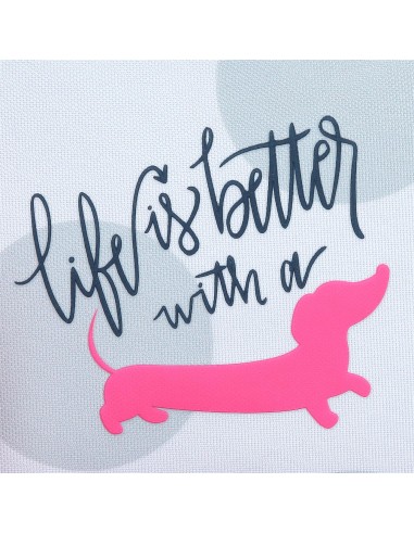 4875742 BANDOLERA ROLL ROAD TECKEL