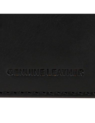 7332041 BILLETERO PJL HUDSON NEGRO