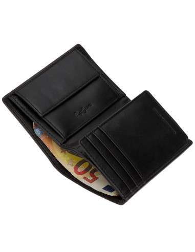 7332041 BILLETERO PJL HUDSON NEGRO