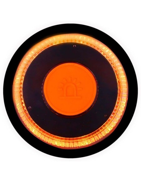 Luz de Emergencia Baliza V16 Geolocalizada