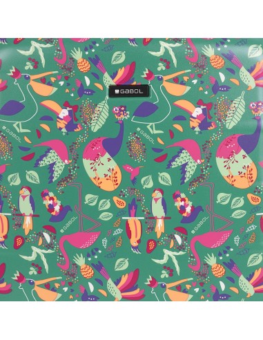 Set 2 Maletas C22-M Gabol Vida