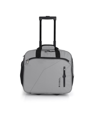 Cartera Piloto Gabol Canada Gris Maleta piloto portaorden...