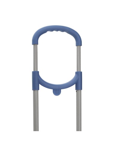 1030559 CARRO ESCOLAR ROLL ROAD TEJANO