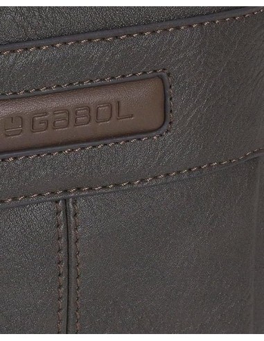 Bolso Bandolera Hombre Gabol Frank BANDOLERA HOMBRE | Fraber